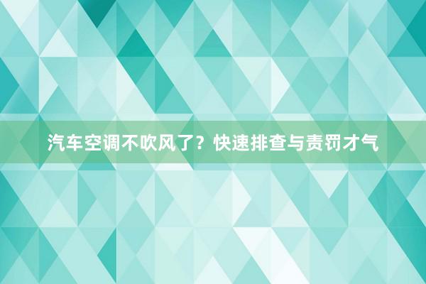 汽车空调不吹风了？快速排查与责罚才气